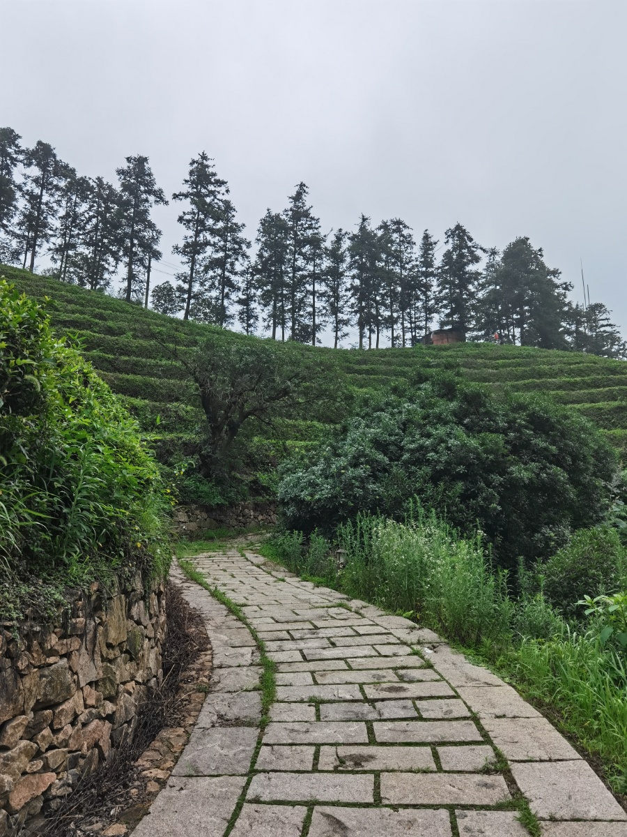 瀑布潺潺流水径山古道
