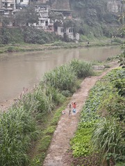 江河水-18