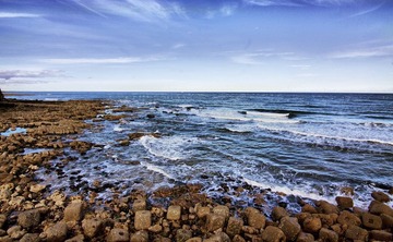 _MG_2330.jpg