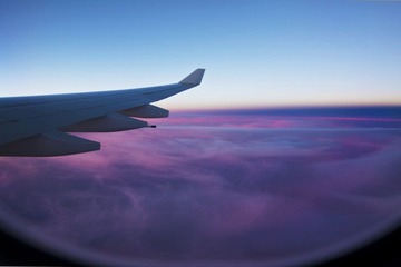 _MG_2600.jpg