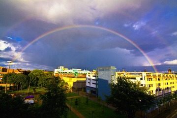 IMG_02391.jpg