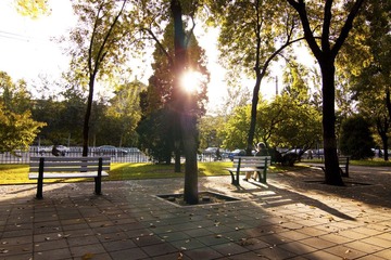 _MG_3958.jpg