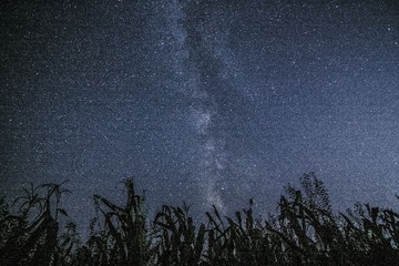 starry night