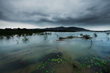 风雨欲来