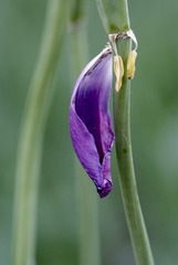 _DSC0404