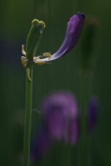 _DSC0542