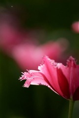 _DSC0565