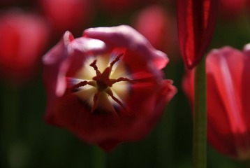 _DSC0068