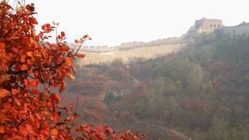 DSC01539.JPG