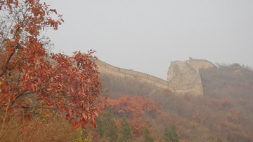 DSC01540.JPG