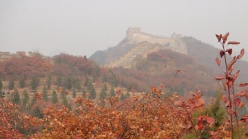 DSC01585.JPG