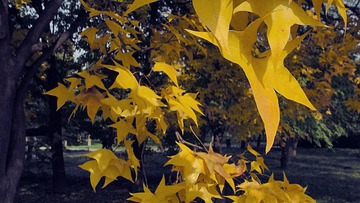 DSC01971.JPG