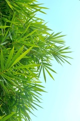 66C42C91-C26C-4AFF-AC76-A3978D6F6292/L0/001
