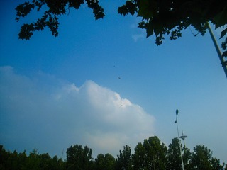20190711-107