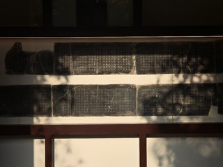 1000028622