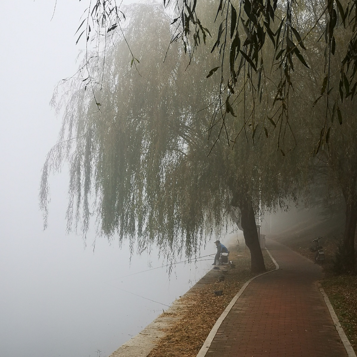 立冬次日诸城大雾