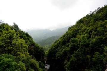 DSC_6541_