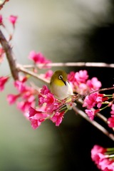 IMG_5990___