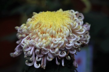 IMG_3302_