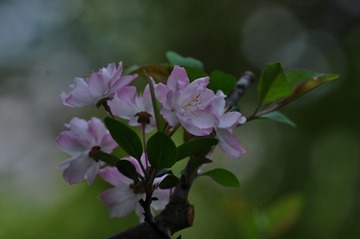 复件 (4) DSC_0031_