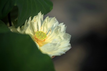IMG_7864_