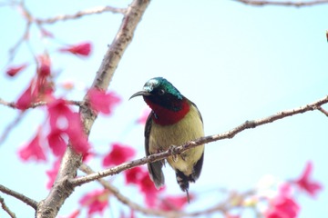 IMG_5788_