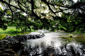 DSC_5933_
