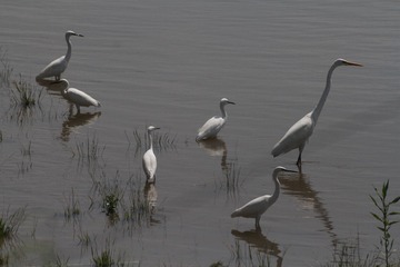 IMG_4259_