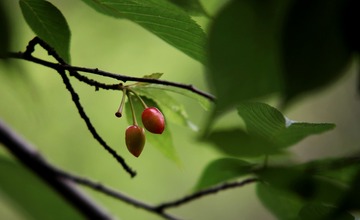 IMG_4140_