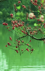 IMG_4081__