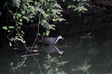 IMG_6903_