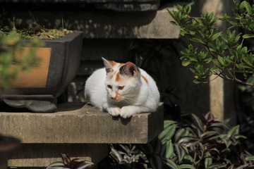 IMG_0094_