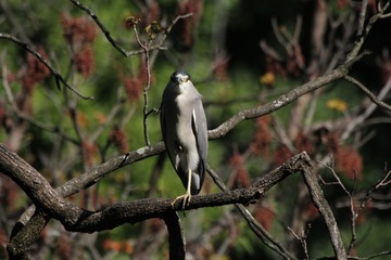 IMG_1296_