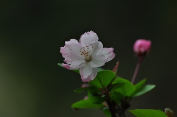复件 (3) DSC_0025_