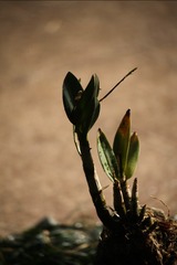 IMG_5958