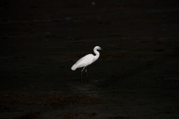 IMG_4970_