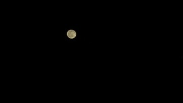 82A042F7-3289-4B72-8742-B16973750167/L0/001
