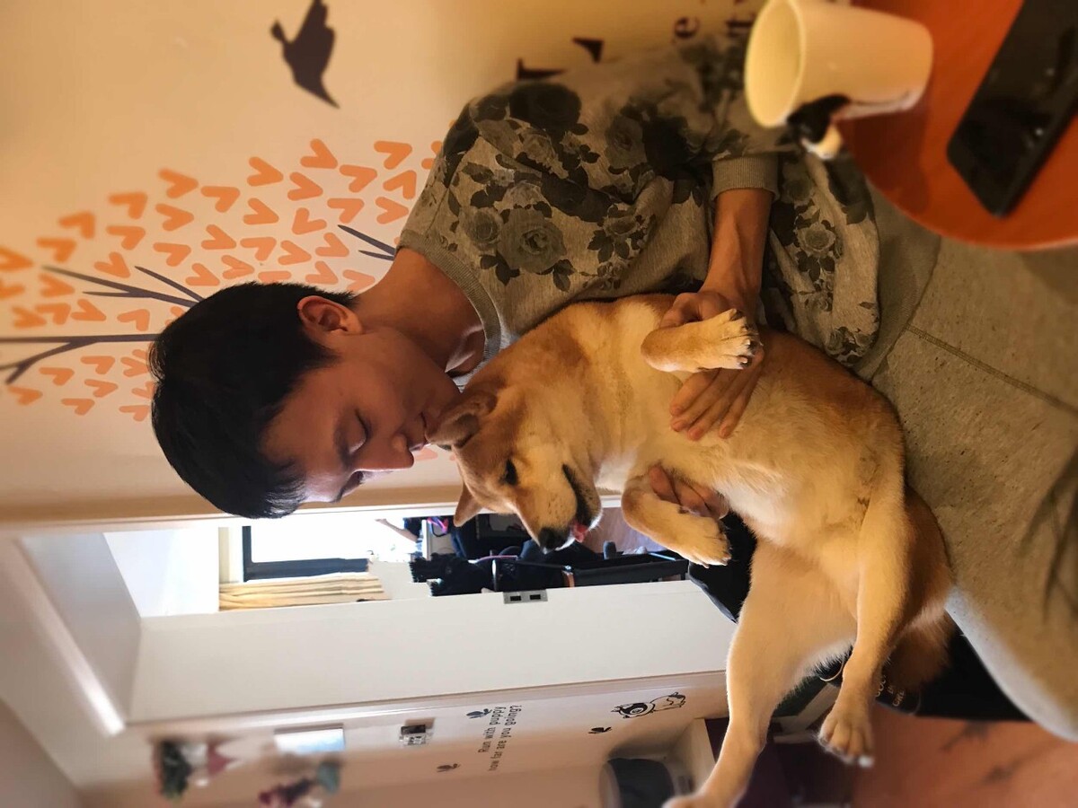 汉条狗是什么意思