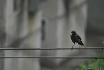 _DSC0738