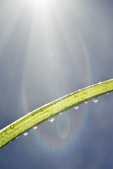 _DSC0040