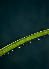_DSC0039