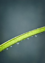 _DSC0039