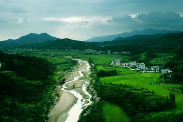 枯萎的河