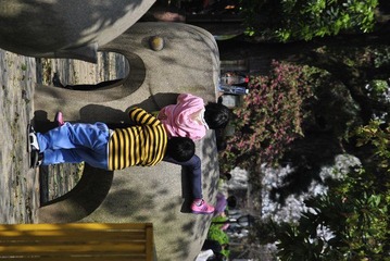 _DSC0031.JPG
