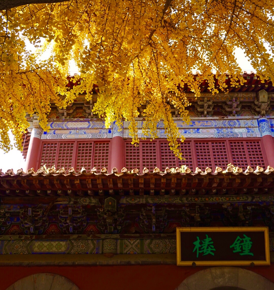 金撒钟楼拍摄于泰山岱庙