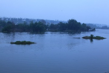 IMG_0445.JPG