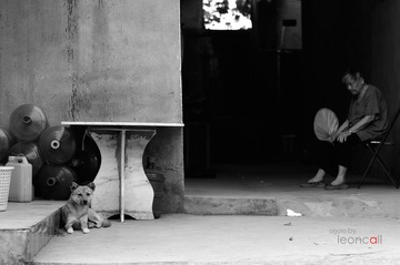 DSC_0514.jpg