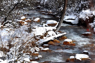 DSC_1051.jpg