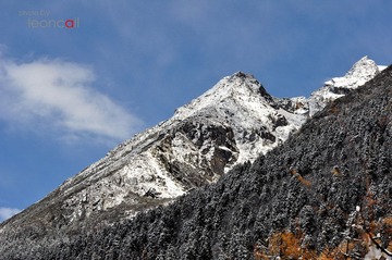 DSC_1059.jpg