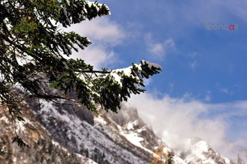 DSC_1068.jpg